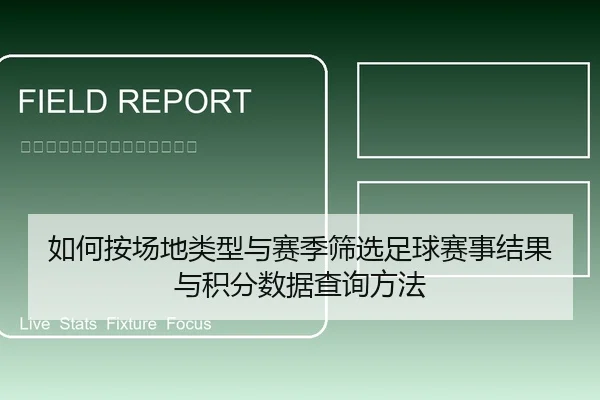 如何按场地类型与赛季筛选足球赛事结果与积分数据查询方法